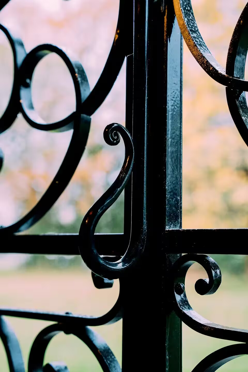 Détail des volutes en fer forgé d'une grille fabriquée à la méthode traditionnelle par Coyac près de la Beaujoire à Nantes